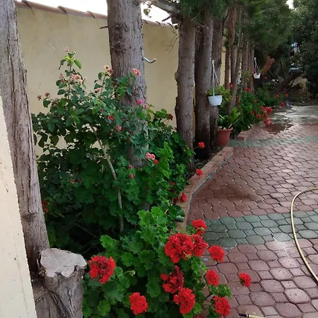 Delle Arance 300mt Dalla דירה אורוסיי