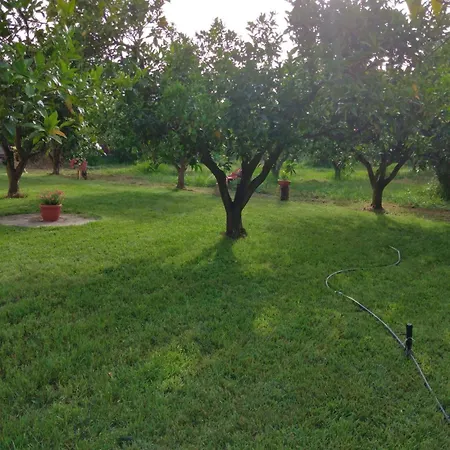 Appartamento Delle Arance 300mt Dalla